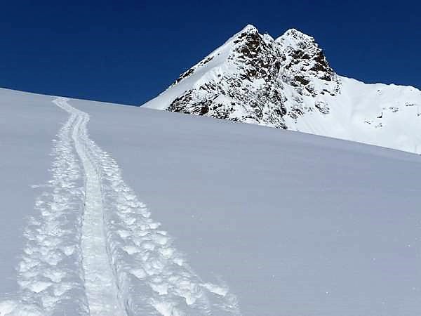 Ski de randonnée