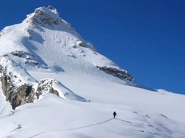 Ski de randonnée