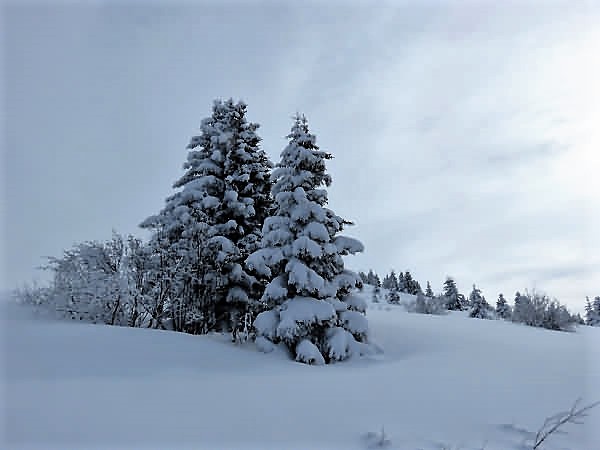 Ski de rando Mont de Vorès Véry Beaufortain