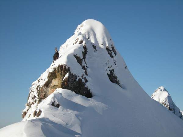 Guide ski rando initiation flaine