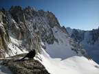 Ski de randonnée au col d'Argentière