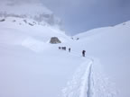 Raid à ski Gemmi - Wildstrubel : descente du Wildstrubel sur Engstligenalp par l'Ammertengletscher