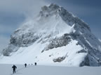 Raid à ski Gemmi - Wildstrubel : descente du Wildstrubel sur Engstligenalp par l'Ammertengletscher