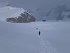 Raid à ski Gemmi - Wildstrubel : descente du Wildstrubel sur Engstligenalp par l'Ammertengletscher