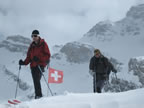Raid à ski Gemmi - Wildstrubel : descente du Wildstrubel sur Engstligenalp par l'Ammertengletscher