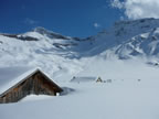 Raid à ski Gemmi - Wildstrubel : descente du Wildstrubel sur Engstligenalp par l'Ammertengletscher