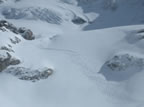 Raid à ski Gemmi - Wildstrubel : descente du Wildstrubel sur Engstligenalp par l'Ammertengletscher