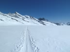 Haute Route Chamonix - Zermatt