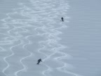 Raid à skis en Silvretta - Tirol - Autriche