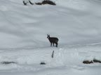Haute Route Chamonix - Zermatt