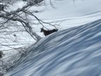 Haute Route Chamonix - Zermatt