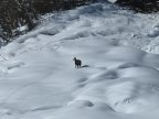 Haute Route Chamonix - Zermatt