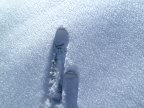 Haute Route Chamonix - Zermatt