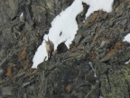 Haute Route du Stubai - Tirol