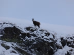 Raid à ski en Valpelline