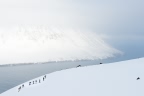 Raid à skis en Isalnde au Pays des Trolls